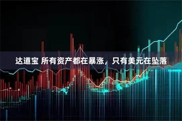 达道宝 所有资产都在暴涨，只有美元在坠落