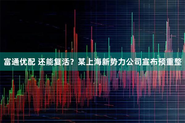 富通优配 还能复活？某上海新势力公司宣布预重整