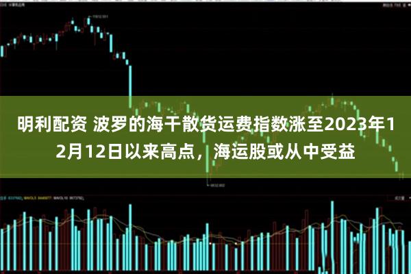 明利配资 波罗的海干散货运费指数涨至2023年12月12日以来高点，海运股或从中受益