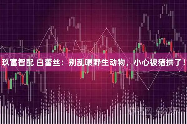 玖富智配 白蕾丝：别乱喂野生动物，小心被猪拱了！