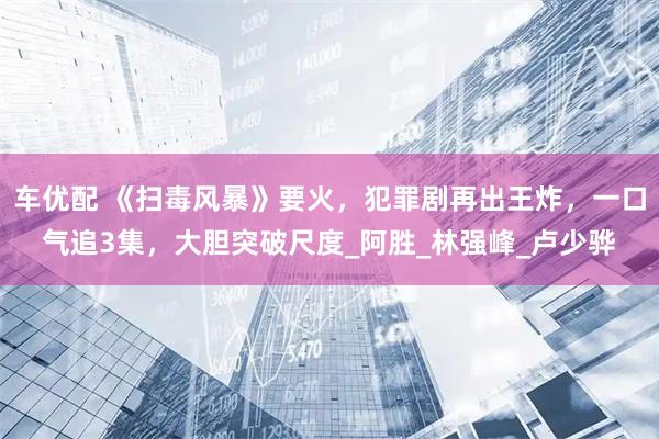 车优配 《扫毒风暴》要火，犯罪剧再出王炸，一口气追3集，大胆突破尺度_阿胜_林强峰_卢少骅
